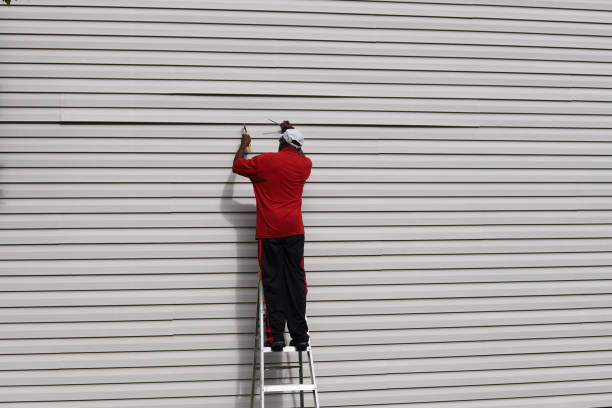 Best Siding Painting and Refinishing  in Carbondale, IL