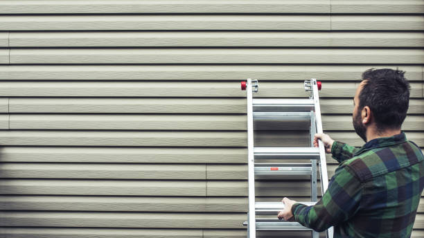 Affordable siding repair and maintenance services in Carbondale, IL