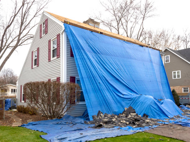 Best Storm Damage Siding Repair  in Carbondale, IL